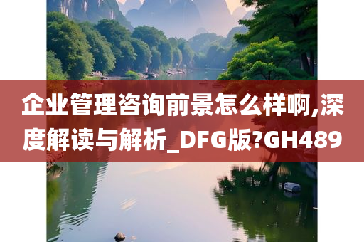 企业管理咨询前景怎么样啊,深度解读与解析_DFG版?GH489