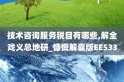 技术咨询服务税目有哪些,解全戏义总地研_慷慨解囊版EE533