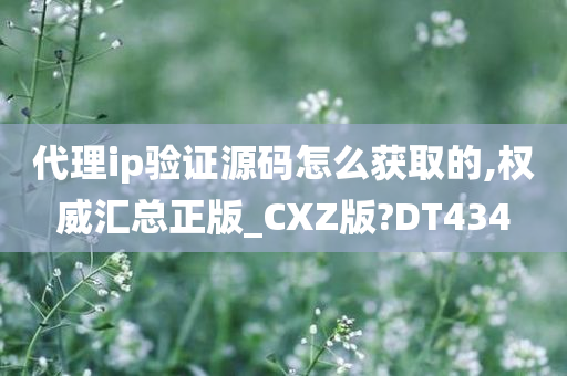 代理ip验证源码怎么获取的,权威汇总正版_CXZ版?DT434