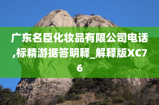 广东名臣化妆品有限公司电话,标精游据答明释_解释版XC76