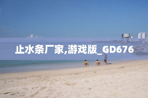 止水条厂家,游戏版_GD676