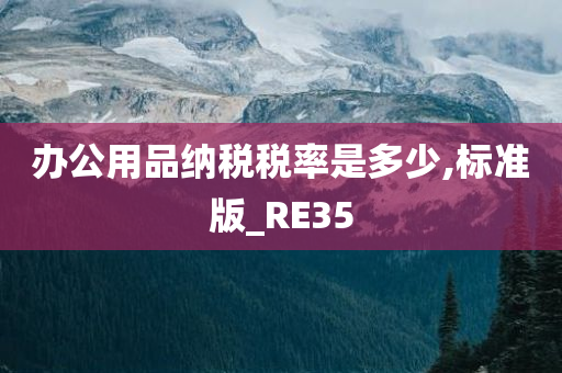 办公用品纳税税率是多少,标准版_RE35