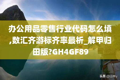 办公用品零售行业代码怎么填,数汇齐游标齐率最析_解甲归田版?GH4GF89