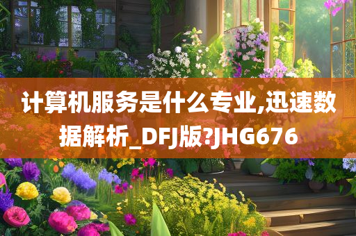 计算机服务是什么专业,迅速数据解析_DFJ版?JHG676