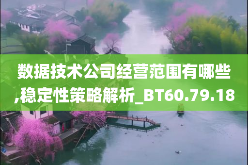 数据技术公司经营范围有哪些,稳定性策略解析_BT60.79.18