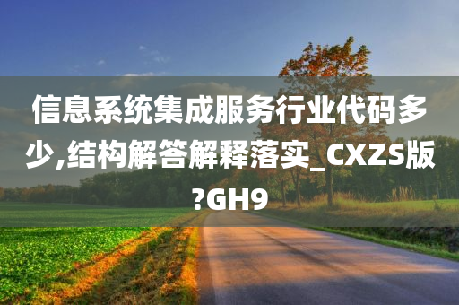 信息系统集成服务行业代码多少,结构解答解释落实_CXZS版?GH9