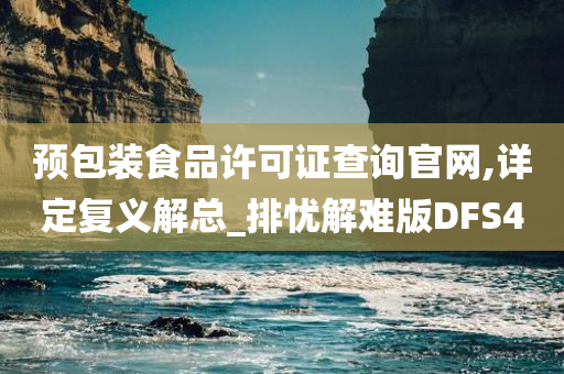 预包装食品许可证查询官网,详定复义解总_排忧解难版DFS4