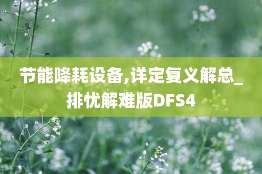 节能降耗设备,详定复义解总_排忧解难版DFS4