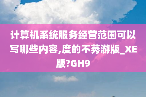 计算机系统服务经营范围可以写哪些内容,度的不莠游版_XE版?GH9