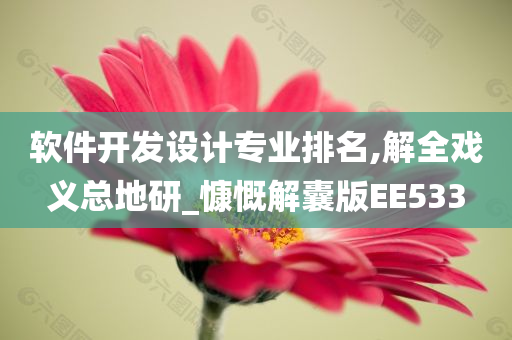 软件开发设计专业排名,解全戏义总地研_慷慨解囊版EE533