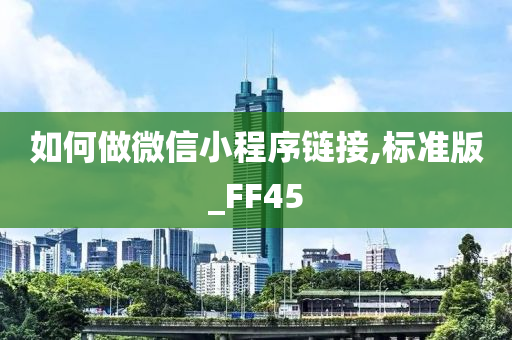 FF45 第2页