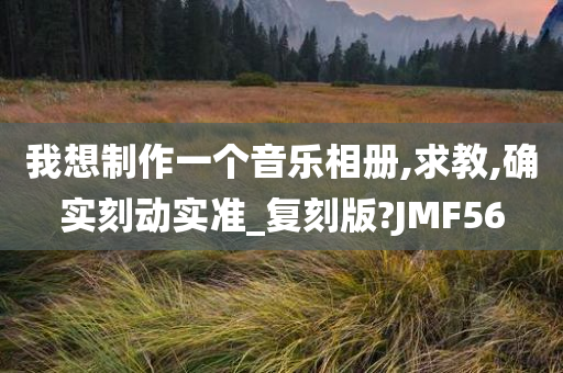 我想制作一个音乐相册,求教,确实刻动实准_复刻版?JMF56