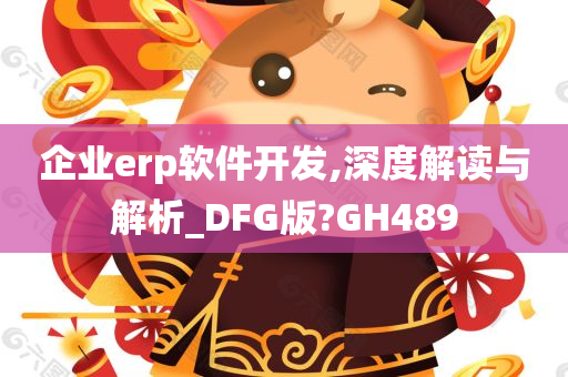 企业erp软件开发,深度解读与解析_DFG版?GH489