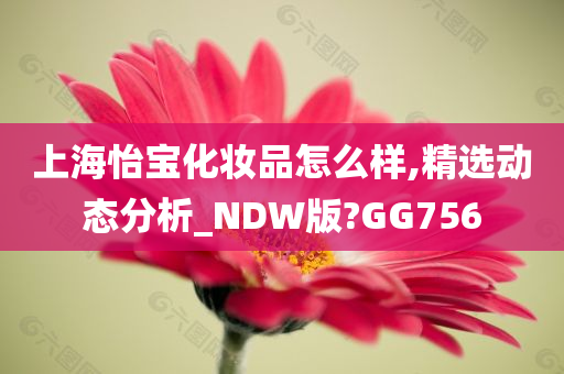 上海怡宝化妆品怎么样,精选动态分析_NDW版?GG756