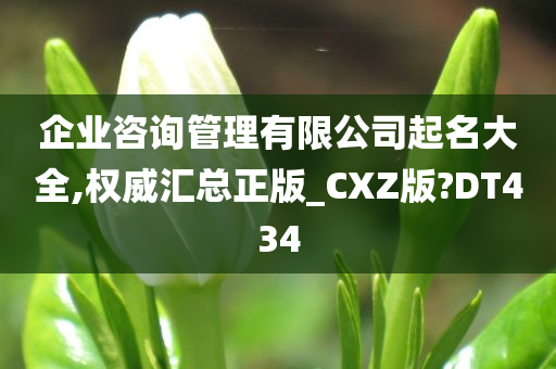 企业咨询管理有限公司起名大全,权威汇总正版_CXZ版?DT434