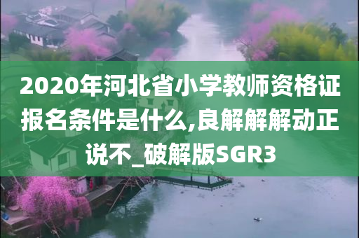 2020年河北省小学教师资格证报名条件是什么,良解解解动正说不_破解版SGR3