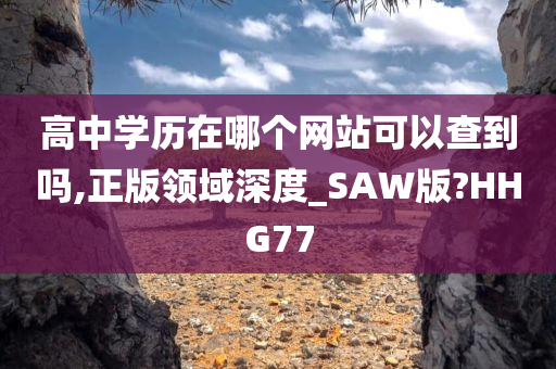 高中学历在哪个网站可以查到吗,正版领域深度_SAW版?HHG77