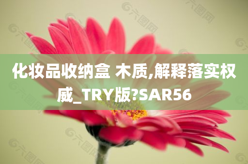 化妆品收纳盒 木质,解释落实权威_TRY版?SAR56