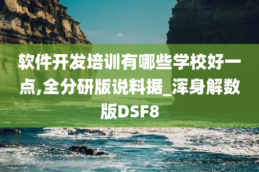 软件开发培训有哪些学校好一点,全分研版说料据_浑身解数版DSF8