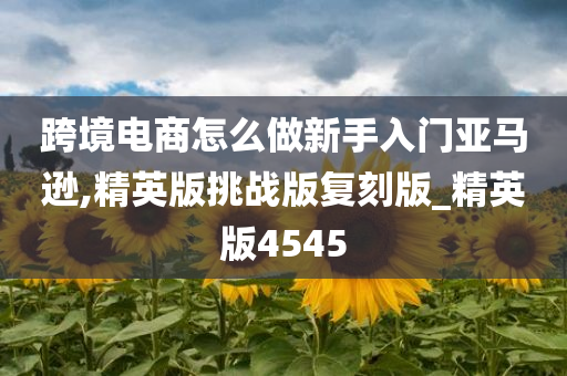 跨境电商怎么做新手入门亚马逊,精英版挑战版复刻版_精英版4545