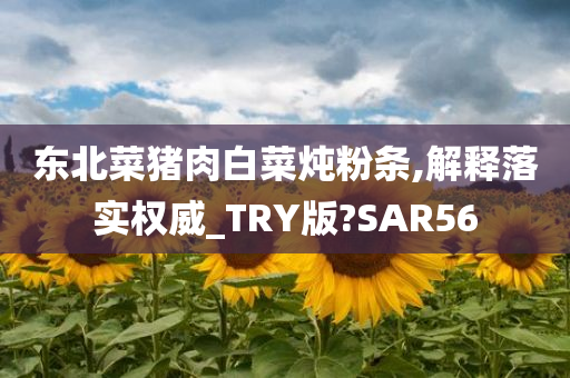 东北菜猪肉白菜炖粉条,解释落实权威_TRY版?SAR56