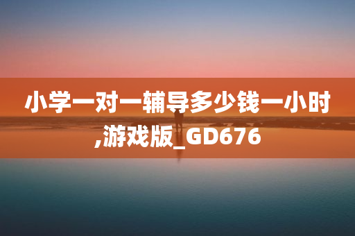 小学一对一辅导多少钱一小时,游戏版_GD676