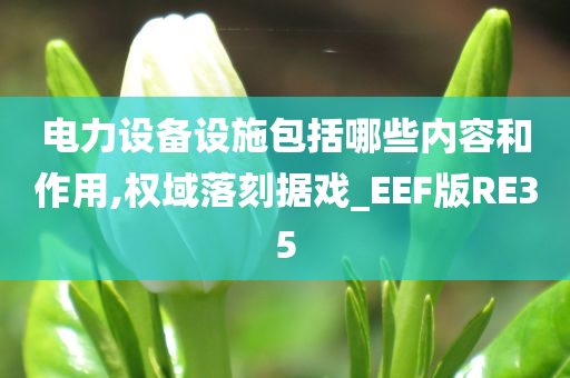 电力设备设施包括哪些内容和作用,权域落刻据戏_EEF版RE35