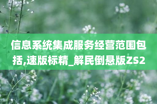 信息系统集成服务经营范围包括,速版标精_解民倒悬版ZS2