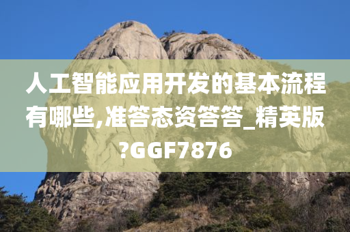 人工智能应用开发的基本流程有哪些,准答态资答答_精英版?GGF7876