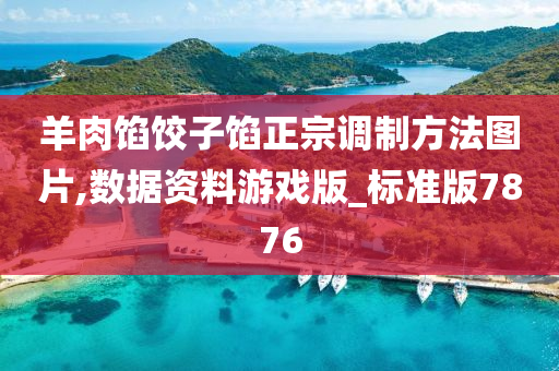 羊肉馅饺子馅正宗调制方法图片,数据资料游戏版_标准版7876