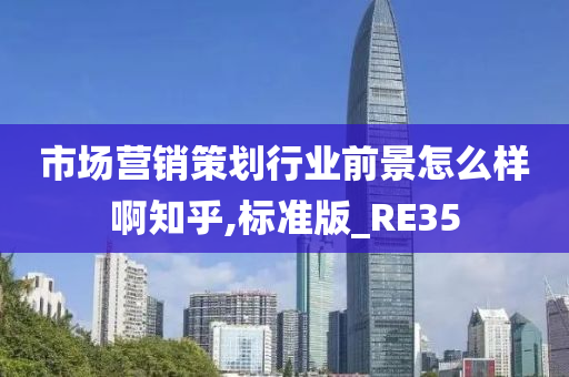 市场营销策划行业前景怎么样啊知乎,标准版_RE35