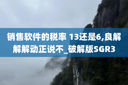 销售软件的税率 13还是6,良解解解动正说不_破解版SGR3