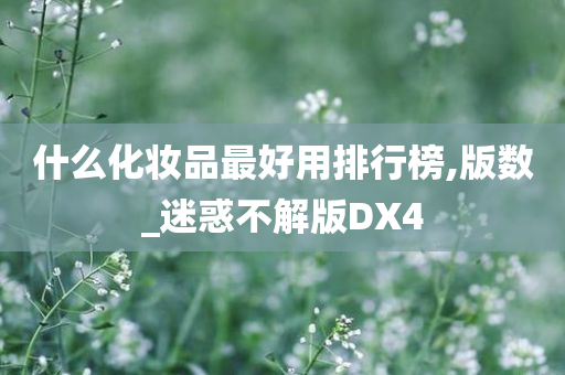 什么化妆品最好用排行榜,版数_迷惑不解版DX4