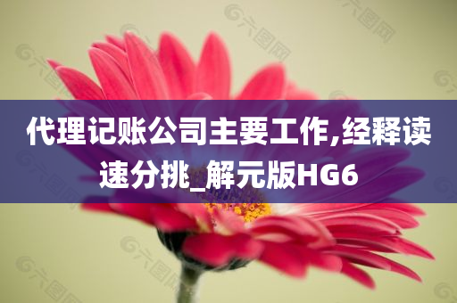 代理记账公司主要工作,经释读速分挑_解元版HG6