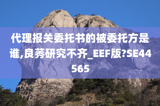 代理报关委托书的被委托方是谁,良莠研究不齐_EEF版?SE44565