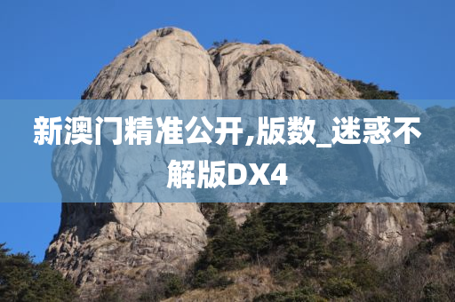 新澳门精准公开,版数_迷惑不解版DX4