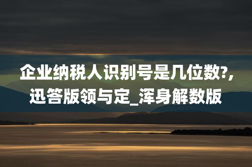 企业纳税人识别号是几位数?,迅答版领与定_浑身解数版