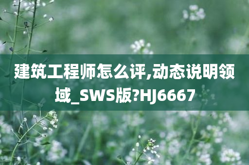 建筑工程师怎么评,动态说明领域_SWS版?HJ6667