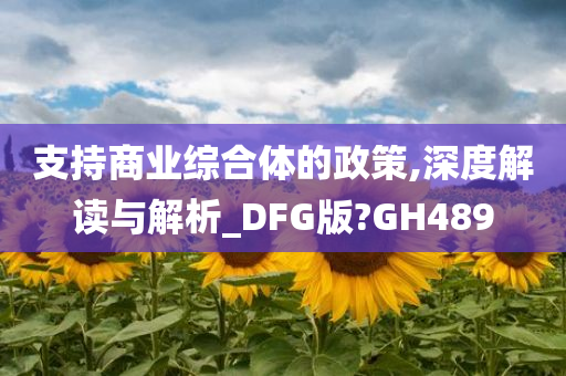 支持商业综合体的政策,深度解读与解析_DFG版?GH489