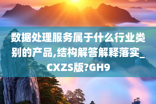 数据处理服务属于什么行业类别的产品,结构解答解释落实_CXZS版?GH9