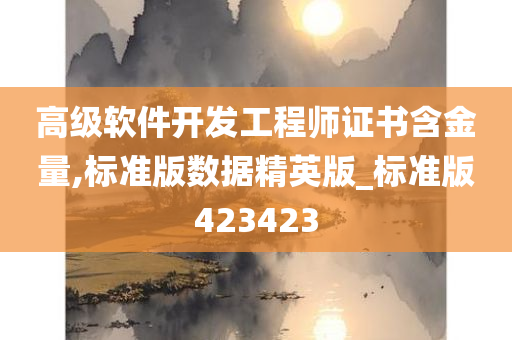 高级软件开发工程师证书含金量,标准版数据精英版_标准版423423