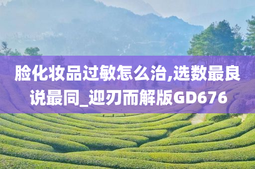 脸化妆品过敏怎么治,选数最良说最同_迎刃而解版GD676