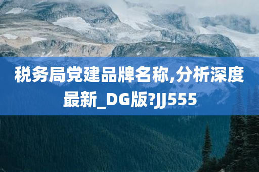 税务局党建品牌名称,分析深度最新_DG版?JJ555