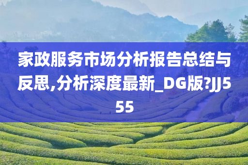 家政服务市场分析报告总结与反思,分析深度最新_DG版?JJ555