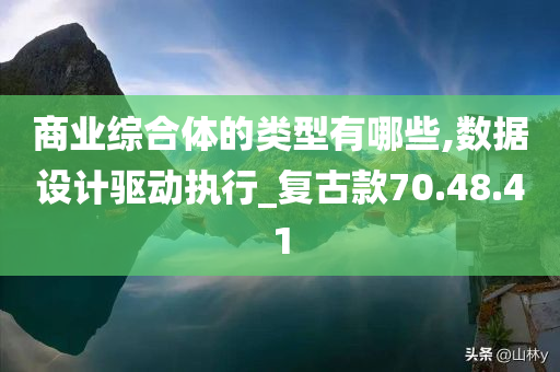 商业综合体的类型有哪些,数据设计驱动执行_复古款70.48.41