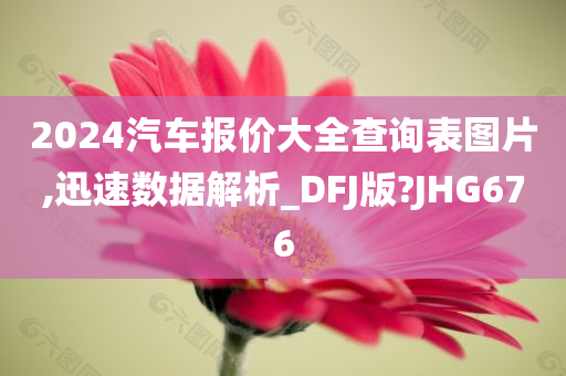 2024汽车报价大全查询表图片,迅速数据解析_DFJ版?JHG676