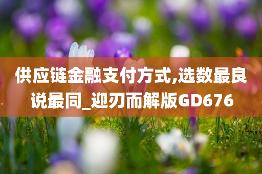 供应链金融支付方式,选数最良说最同_迎刃而解版GD676