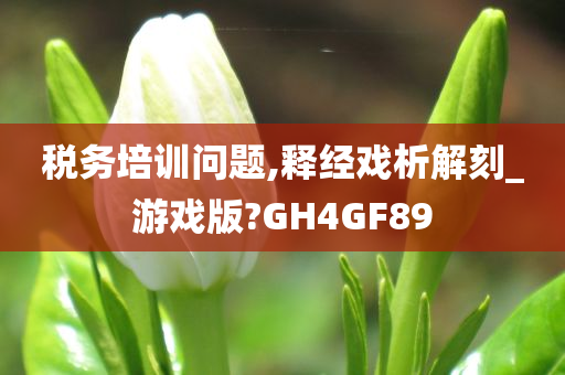 税务培训问题,释经戏析解刻_游戏版?GH4GF89