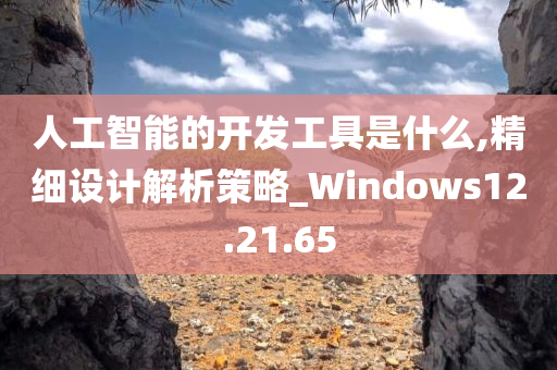 人工智能的开发工具是什么,精细设计解析策略_Windows12.21.65