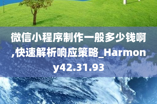 微信小程序制作一般多少钱啊,快速解析响应策略_Harmony42.31.93